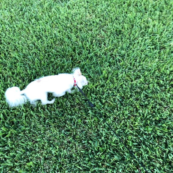 Meet your Posher, Brian - Picture 1 of 1